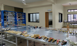 Dr. D.Y. Patil Homoeopathic College - Department of Anatomy