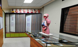 Dr. D.Y. Patil Homoeopathic College - Department of Forensic