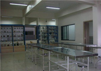 Anatomy Department