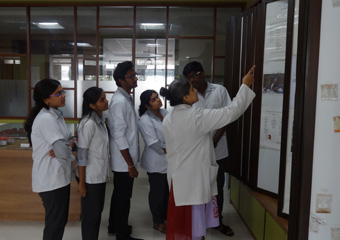 Homoeopathic Materia Medica